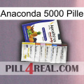 Anaconda 5000 Pill 11